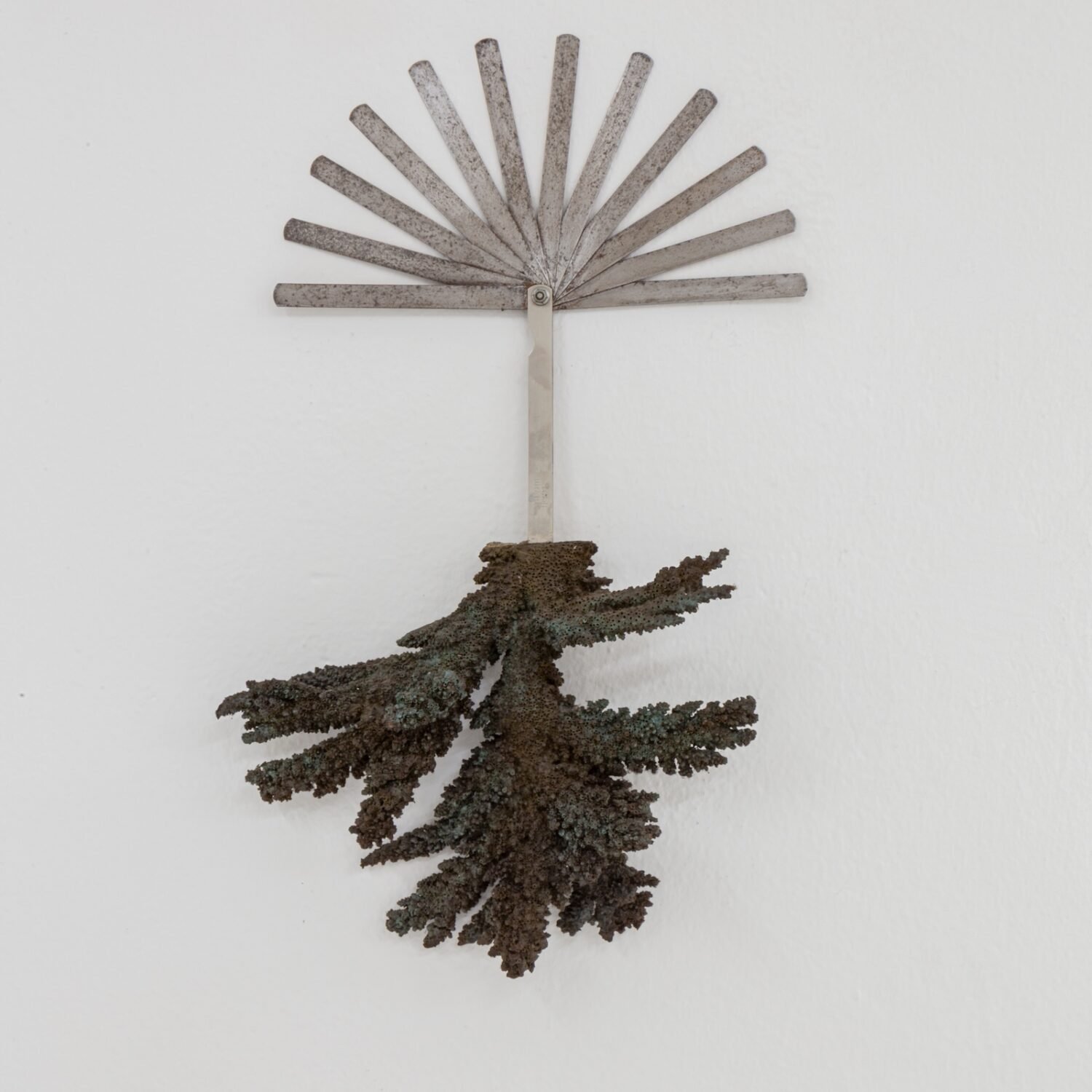 Lumina Clorofilliana - Filippo Sciascia