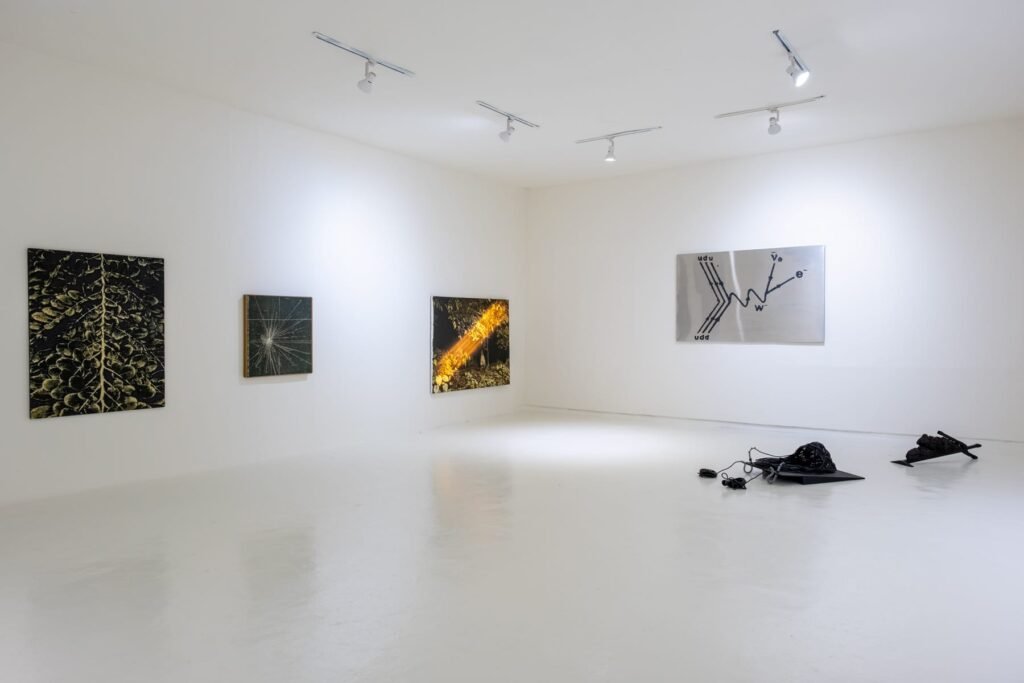 Filippo Sciascia, Artjog