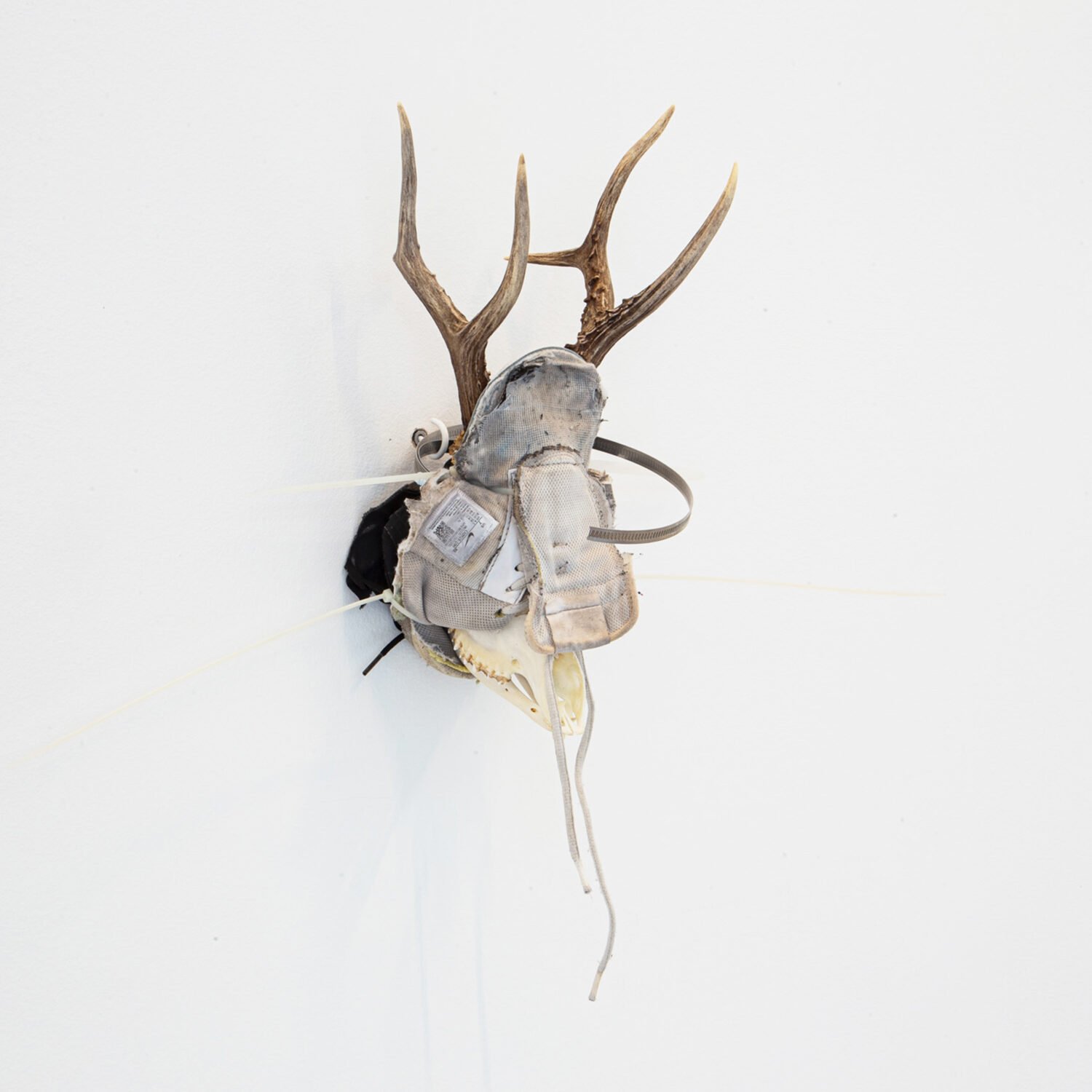 Banquet Gallery - artwork by Matteo Cremonesi