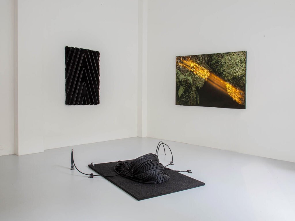 Artwork of Filippo Sciascia part of "Primitive Learning" exhibition at Banquet Gallery