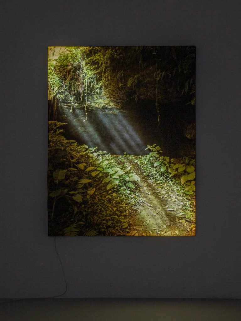 Artwork of Filippo Sciascia part of "Primitive Learning" exhibition at Banquet Gallery